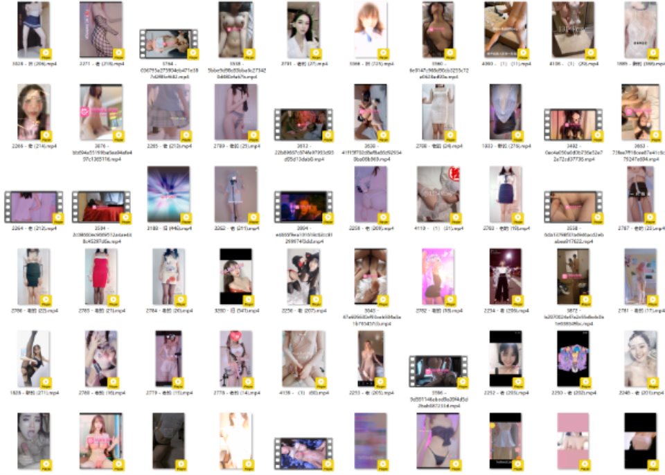 [合集] [自行打包] 剪羊羊会员组最后部分 [1917v+50.6g][百度盘]